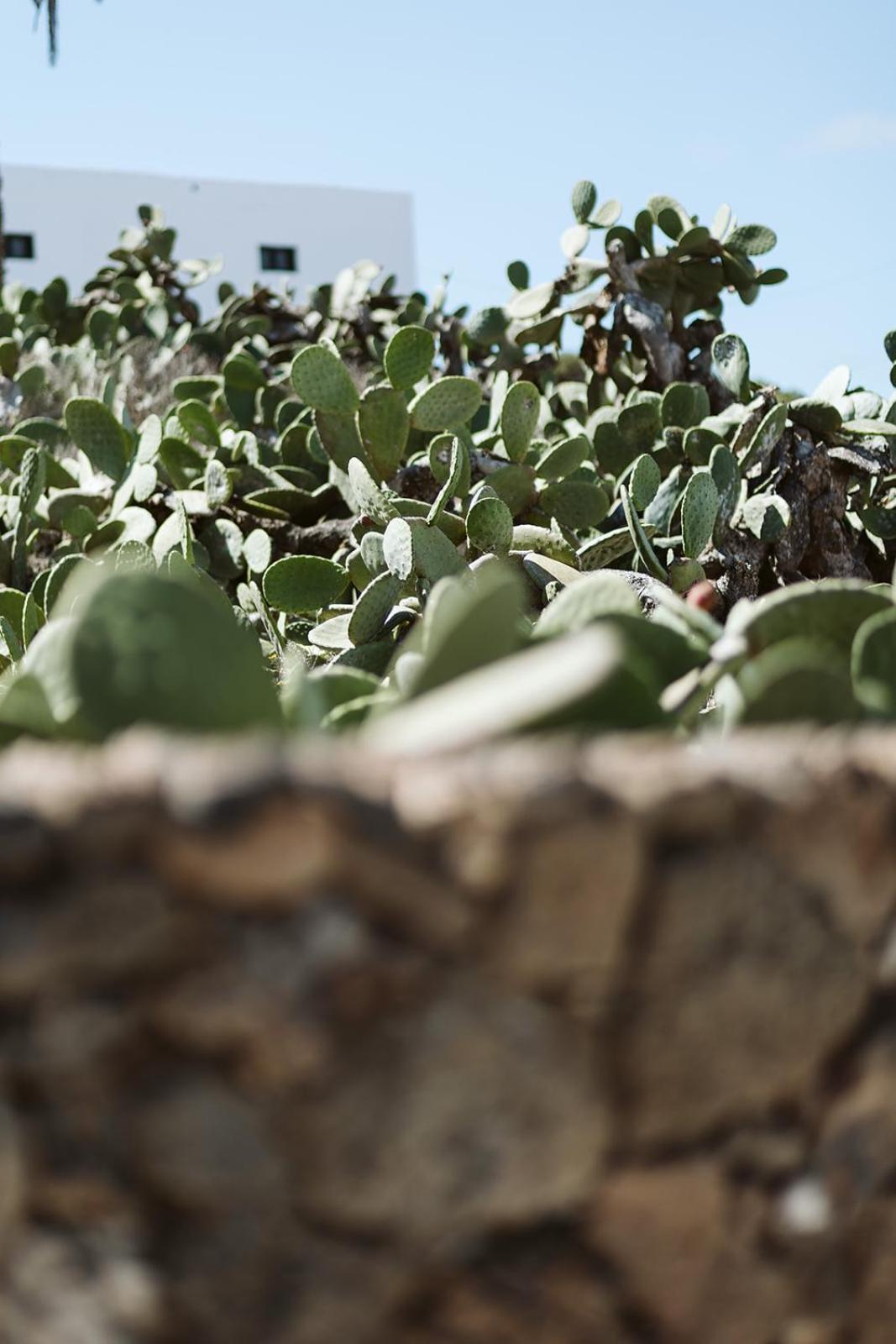 Hotelito Rural Flor De Timanfaya Tinajo Ngoại thất bức ảnh